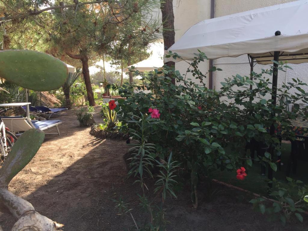 Casa Vacanze Residence Baia Fenicia Vulcano, Isole Eolie Vulcano  Zimmer foto